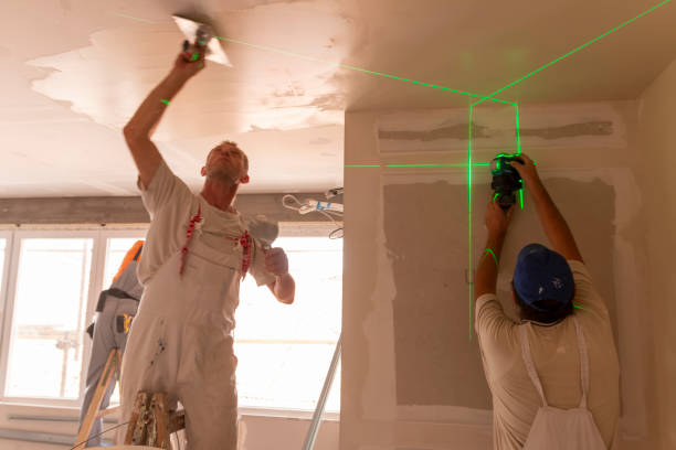 Best Crawl Space Mold Remediation  in Fairmont, IL