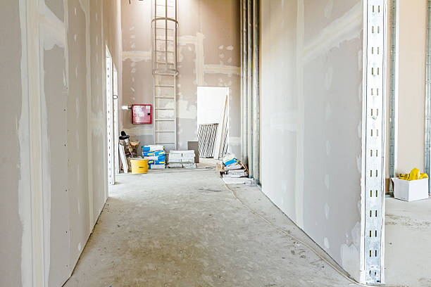 Best Residential Mold Inspection & Testing  in Fairmont, IL